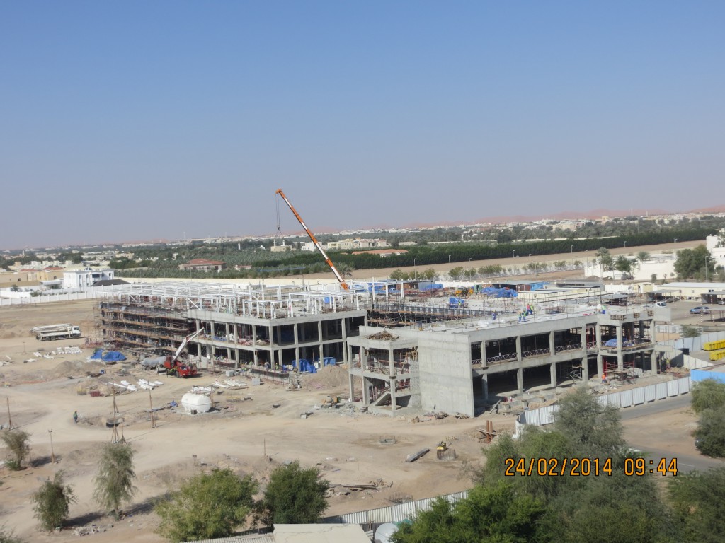 kidney problems associated with lupus