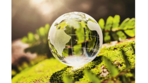 Your paragraph text (3)